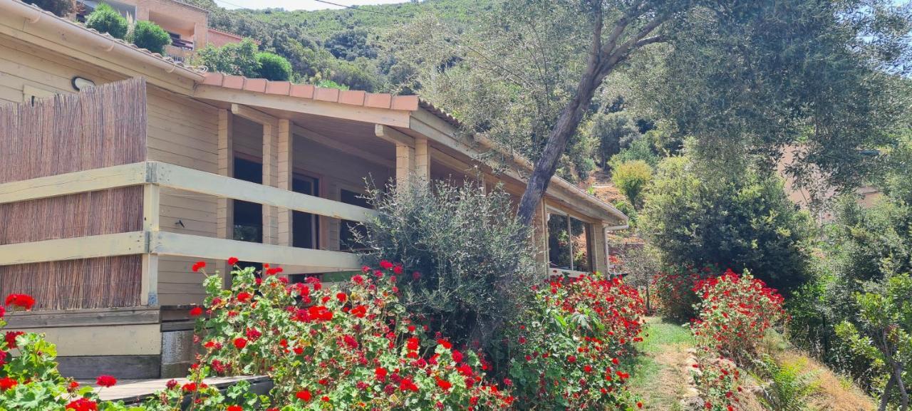 Les Terrasses De Scaglioli Villa Villanova Exterior foto