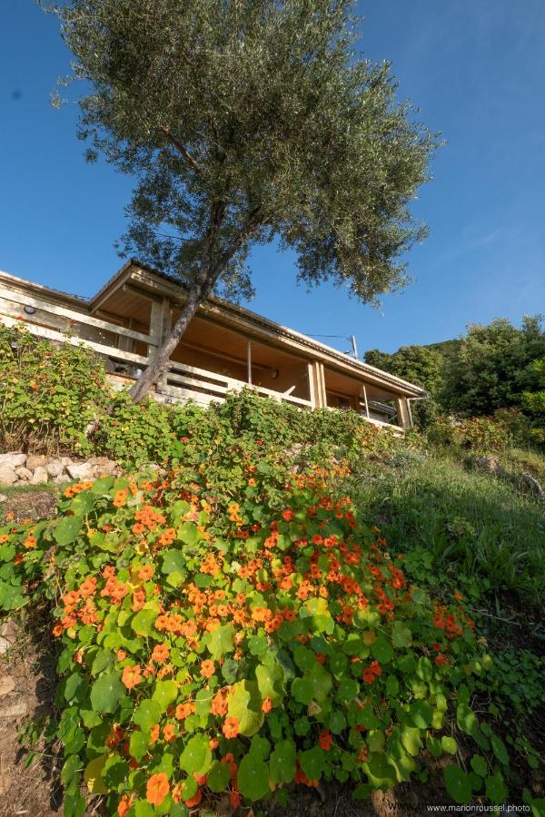 Les Terrasses De Scaglioli Villa Villanova Exterior foto